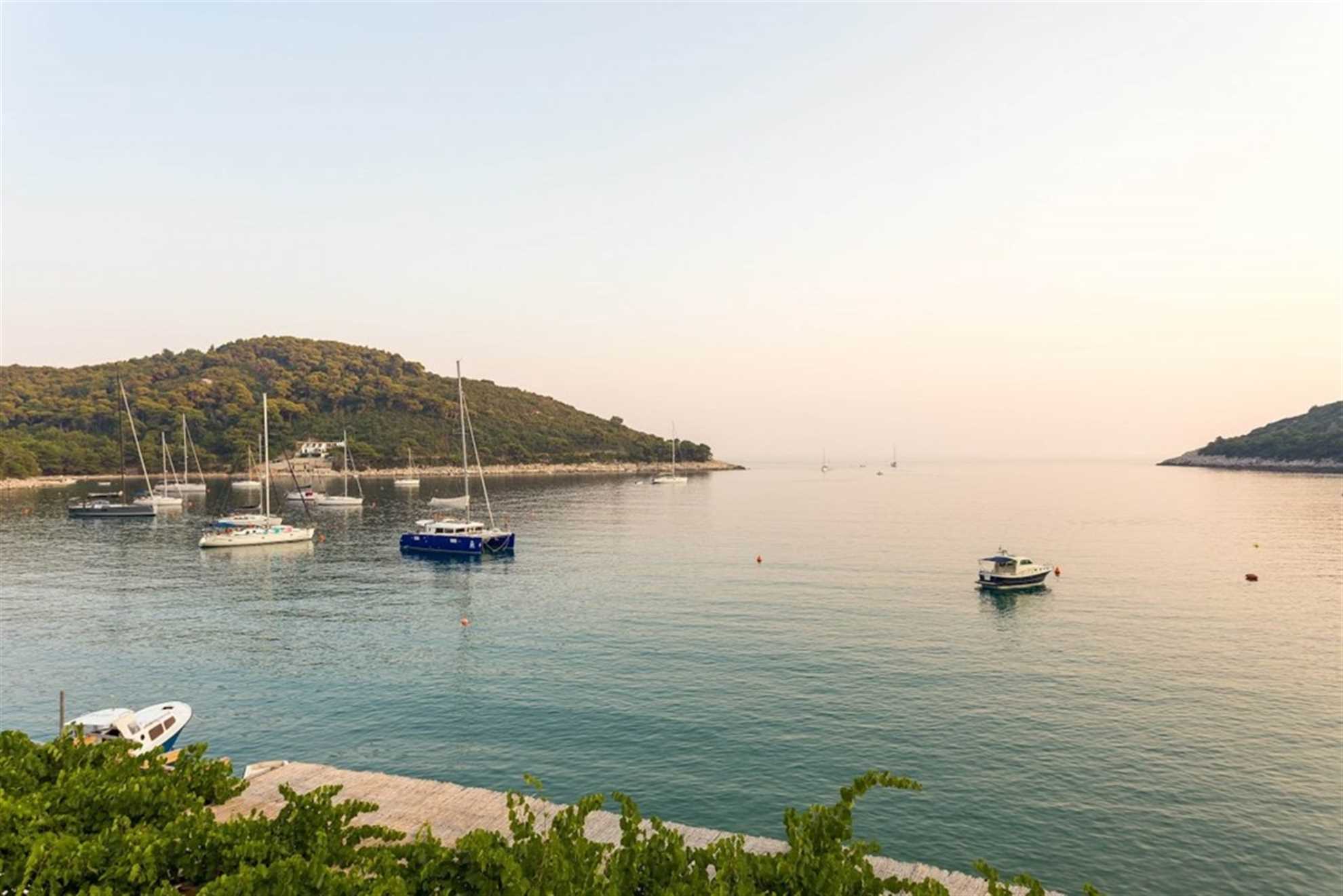 COMFORT DELUXE SUITE - JASMIN LUSH