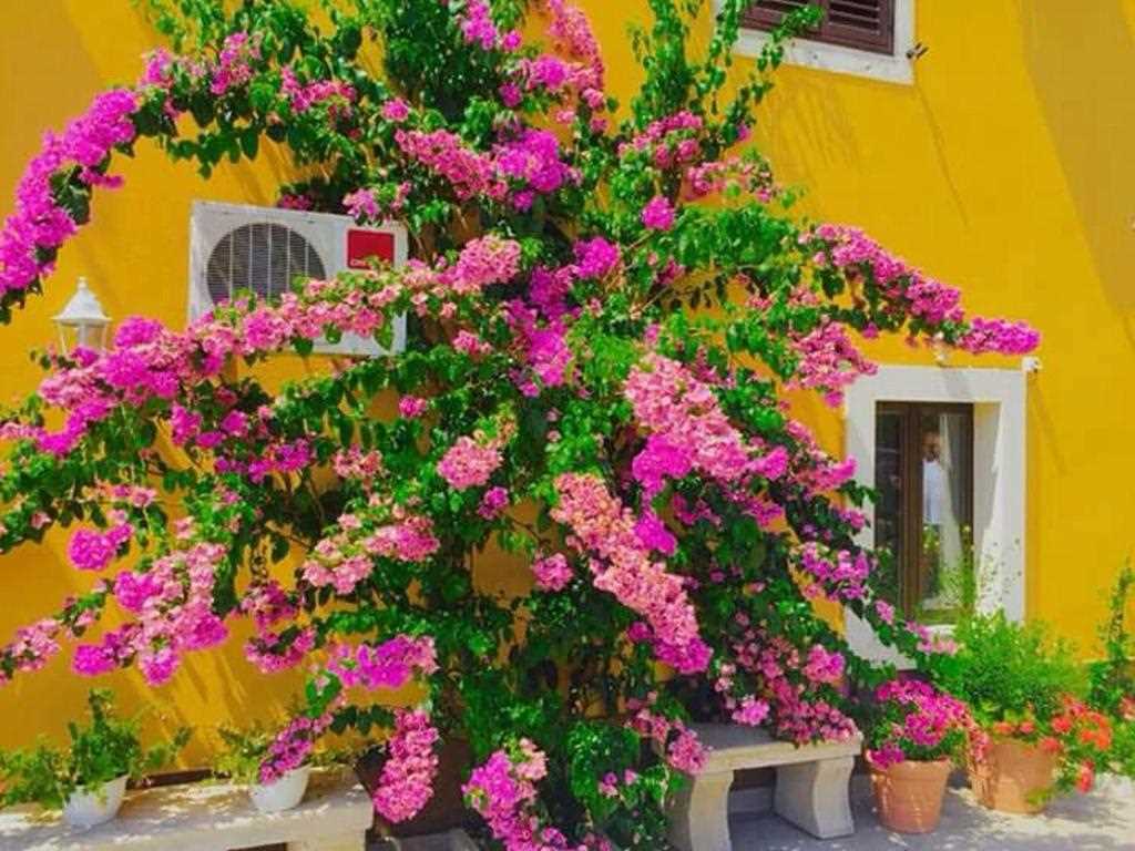 Rooms Mozara 2 Double room with private external bathroom