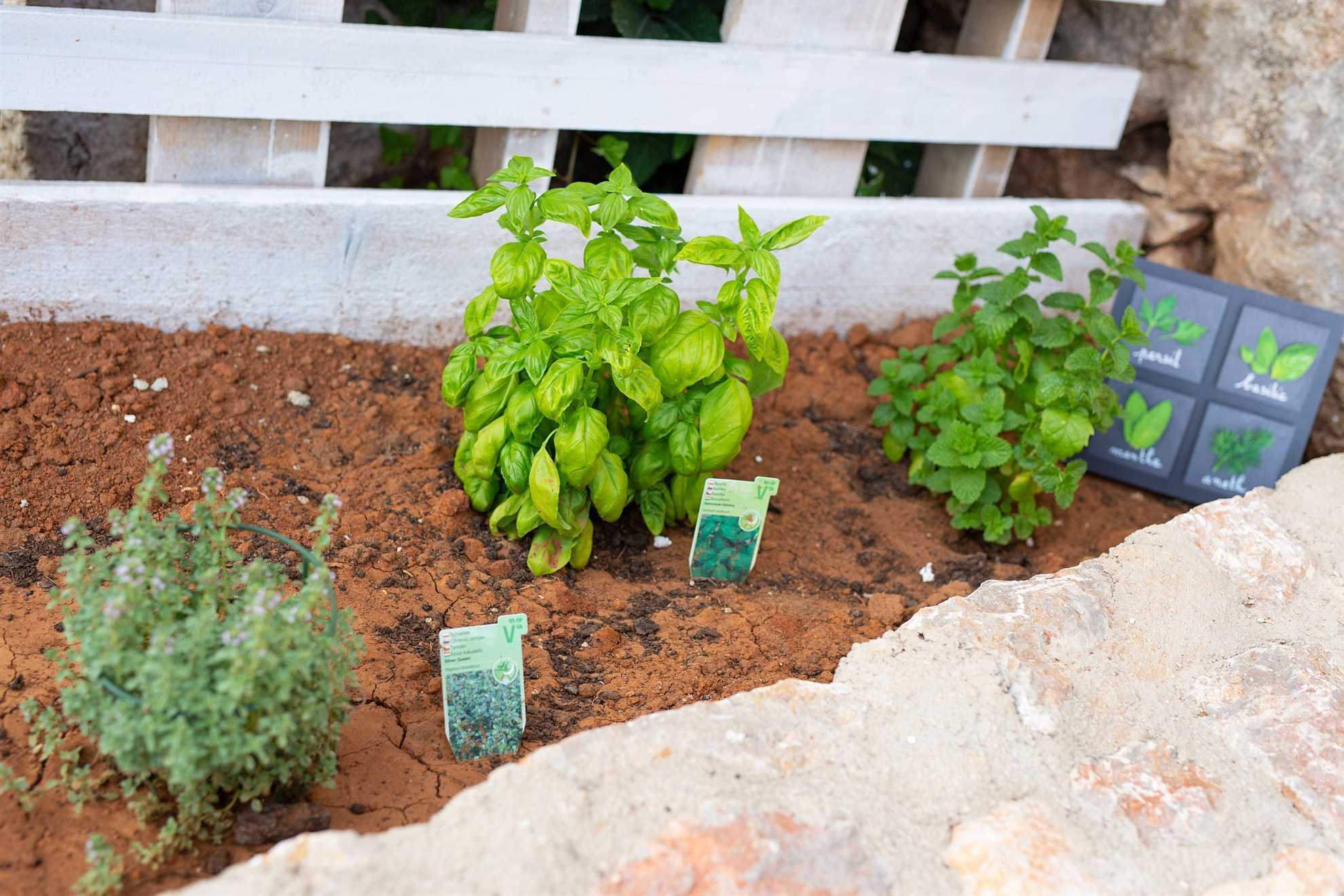 Prekrasna Villa MAY sa bazenom