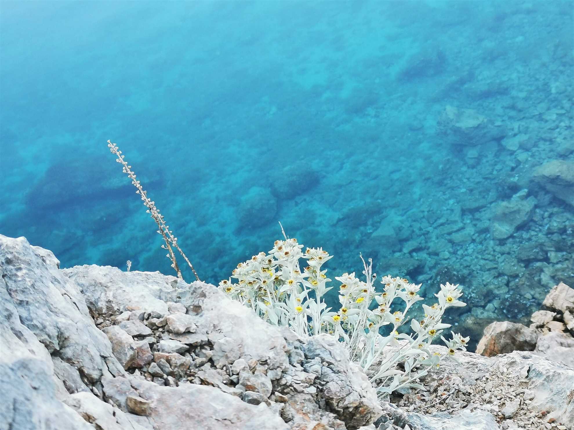 Udoban dvosobni apartman