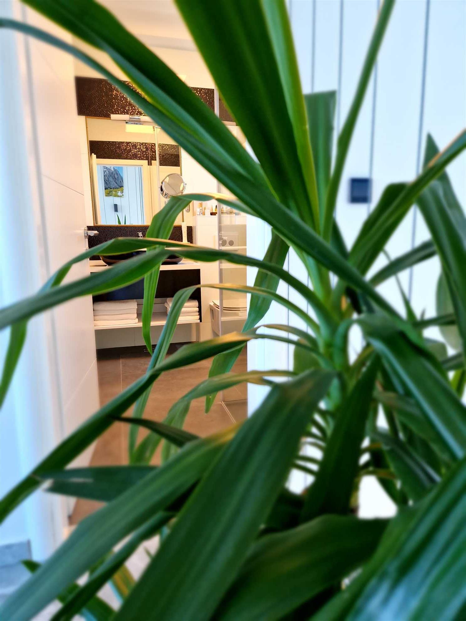 Apartment Paklenica (Dalmatia Infinity)