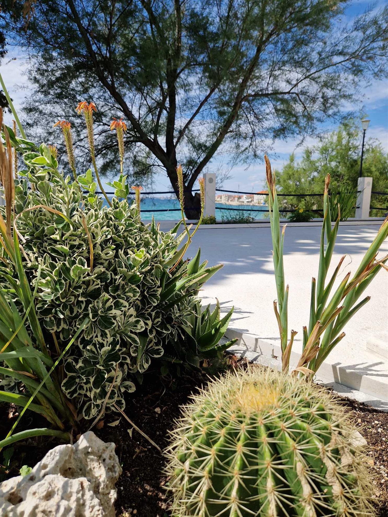 Apartment Paklenica (Dalmatia Infinity)