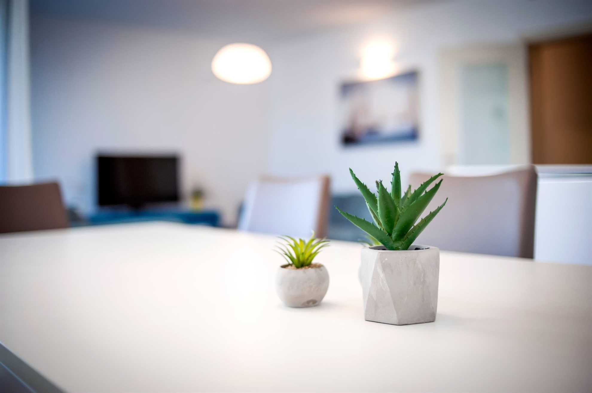 SUNNY DAY - Apartman sa Parkingom