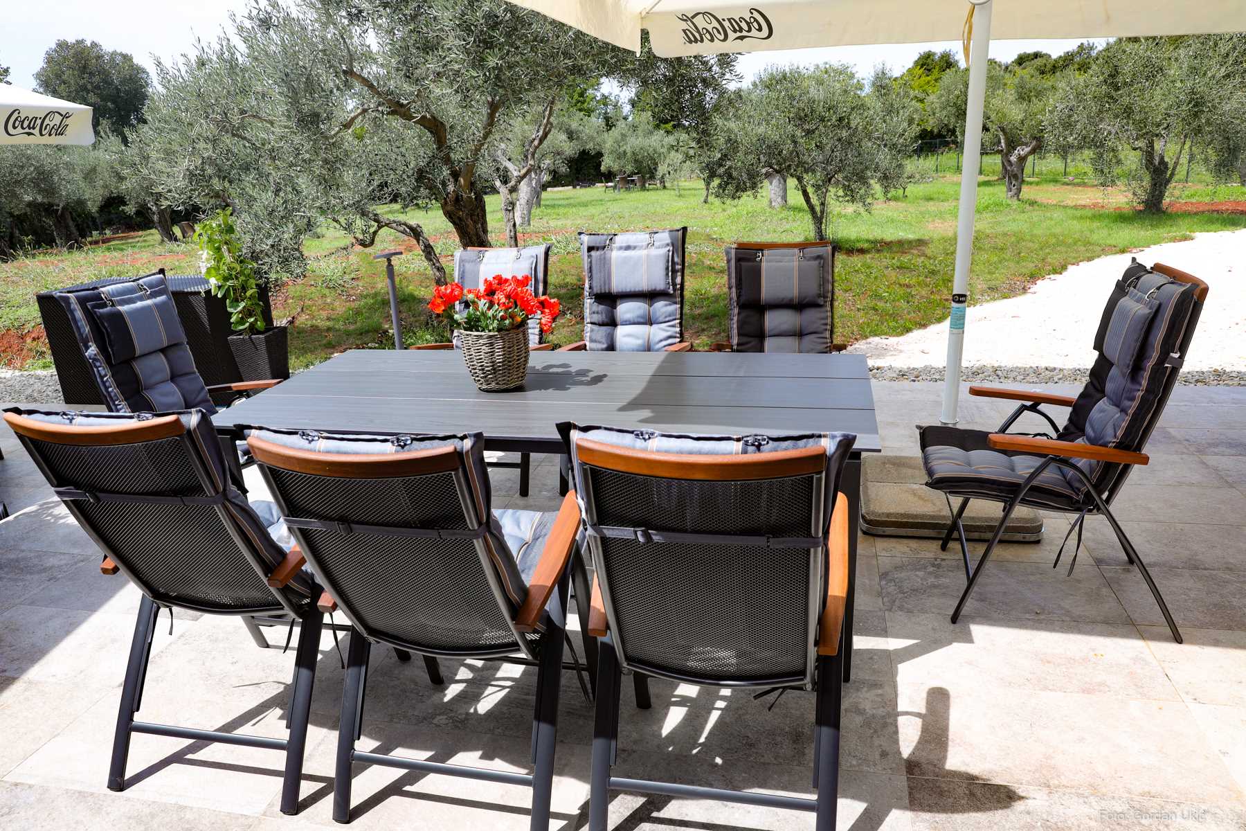 Vila Olive Garden Paradise s bazenom-NEW!