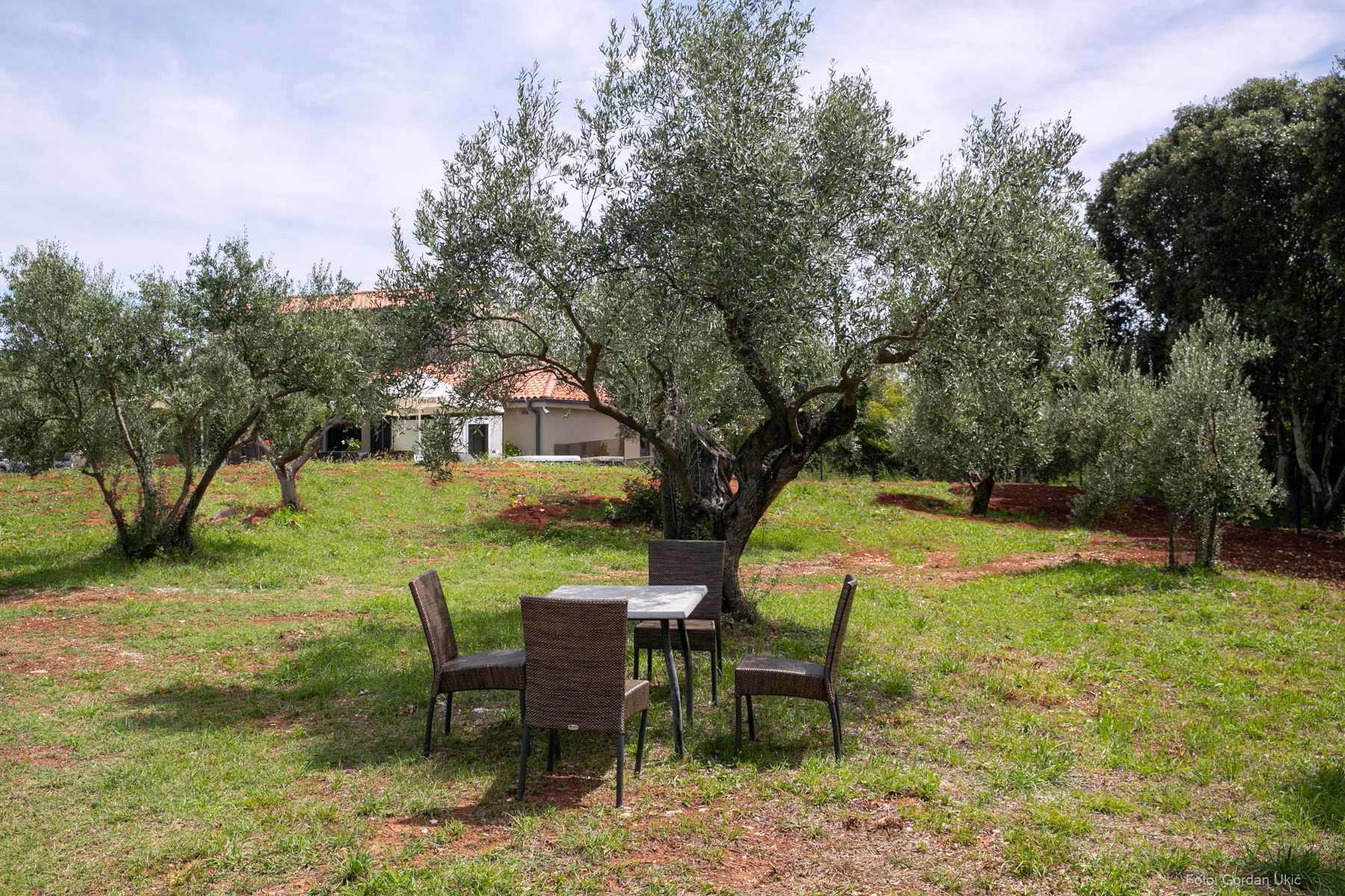 Vila Olive Garden Paradise s bazenom-NEW!