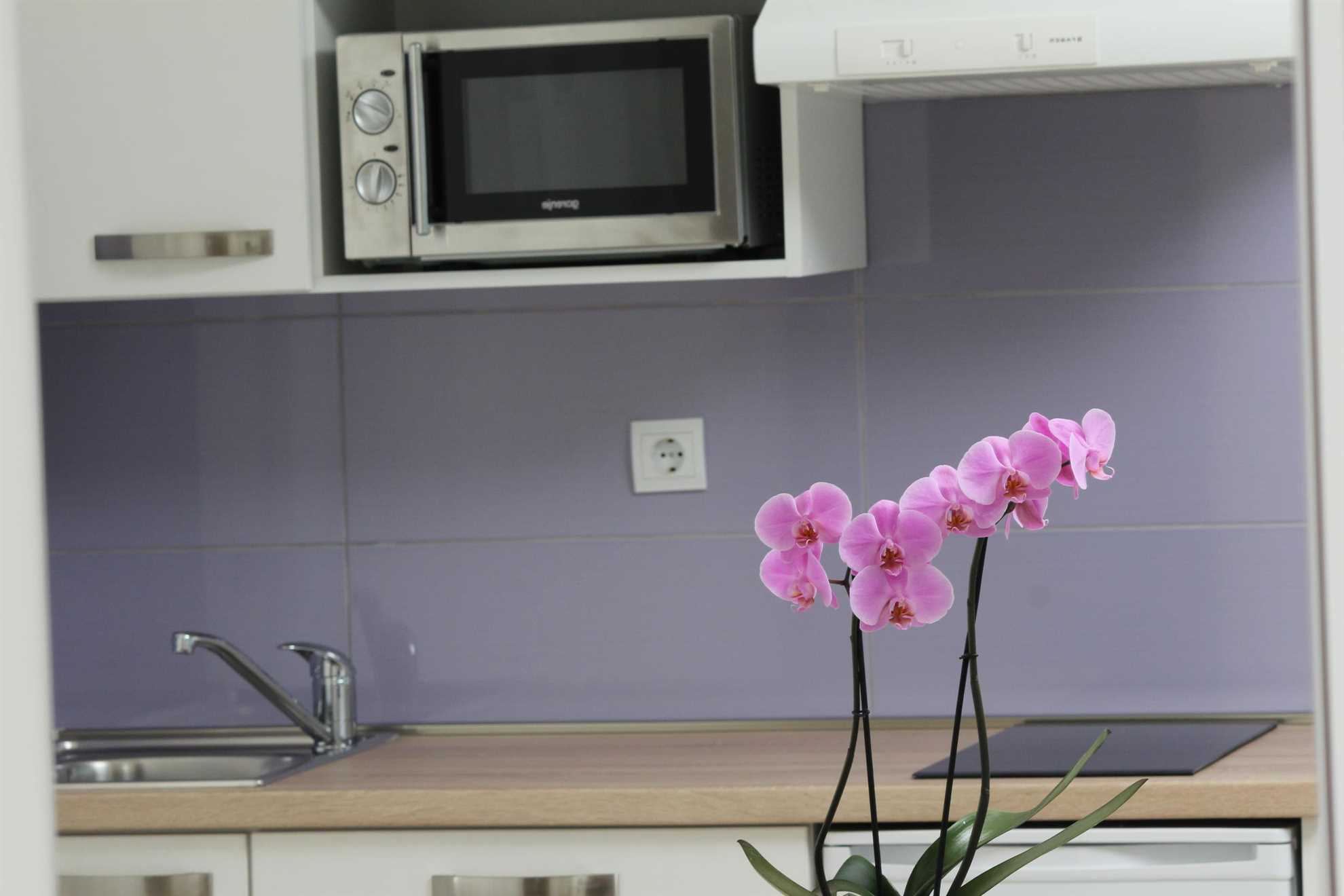 EMANUEL Studio Apartman s Balkonom 3