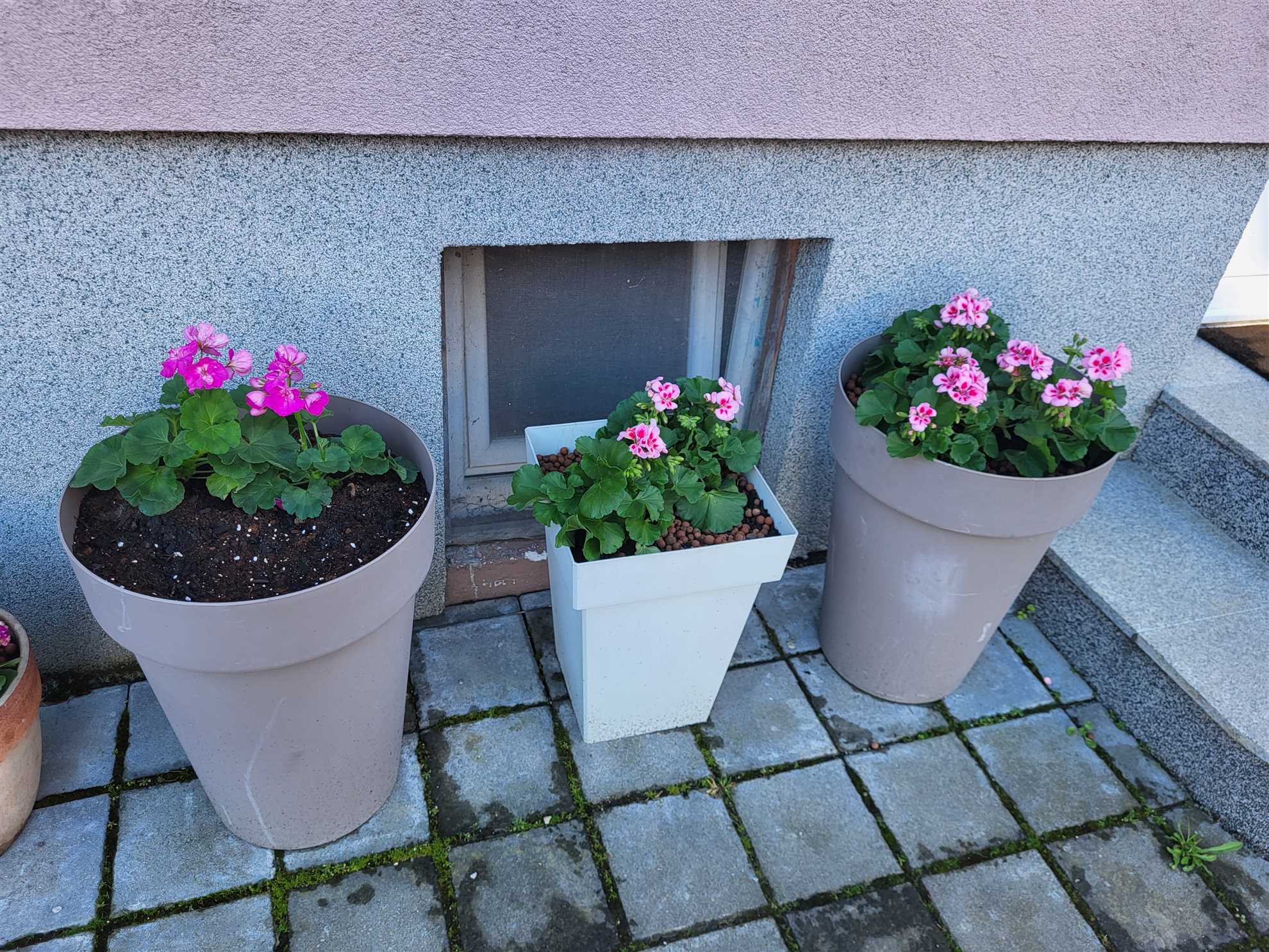 Soba 3 - dvokrevetna soba sa krovnim prozorom