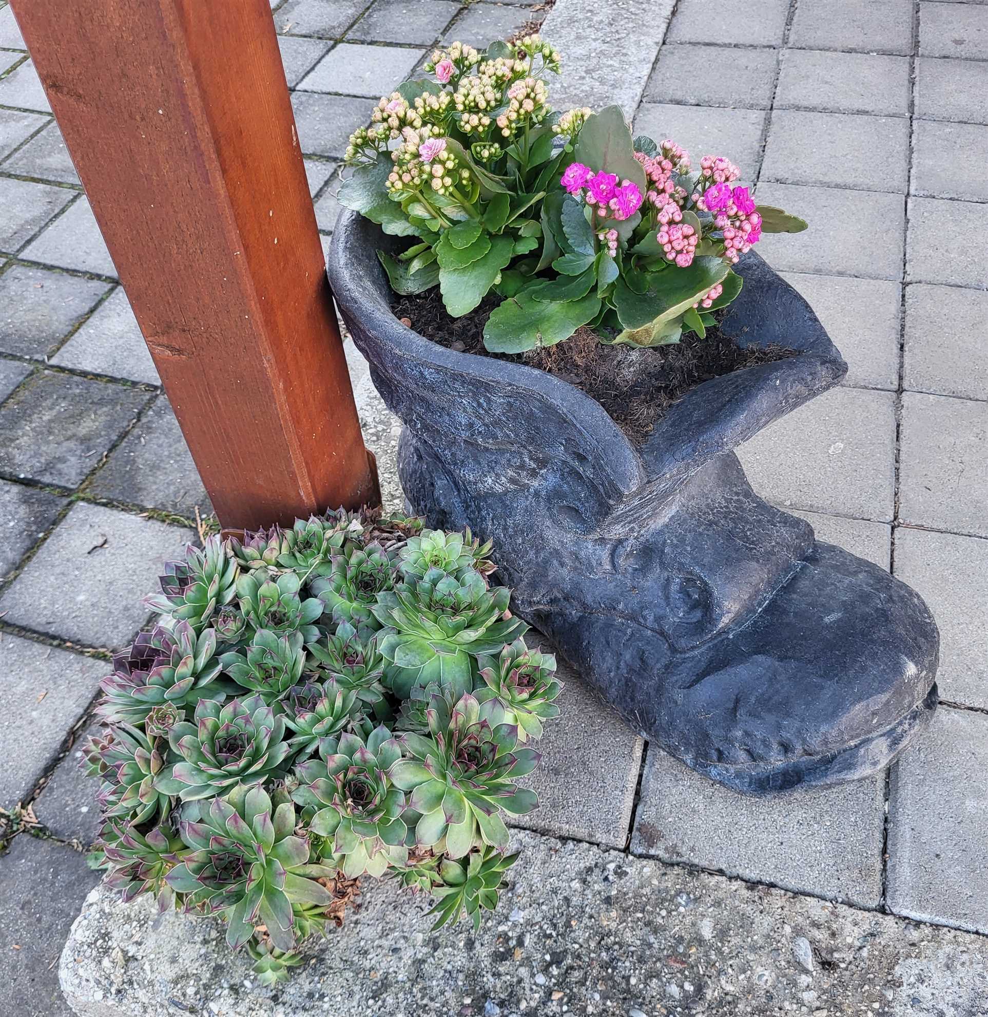 Soba 3 - dvokrevetna soba sa krovnim prozorom