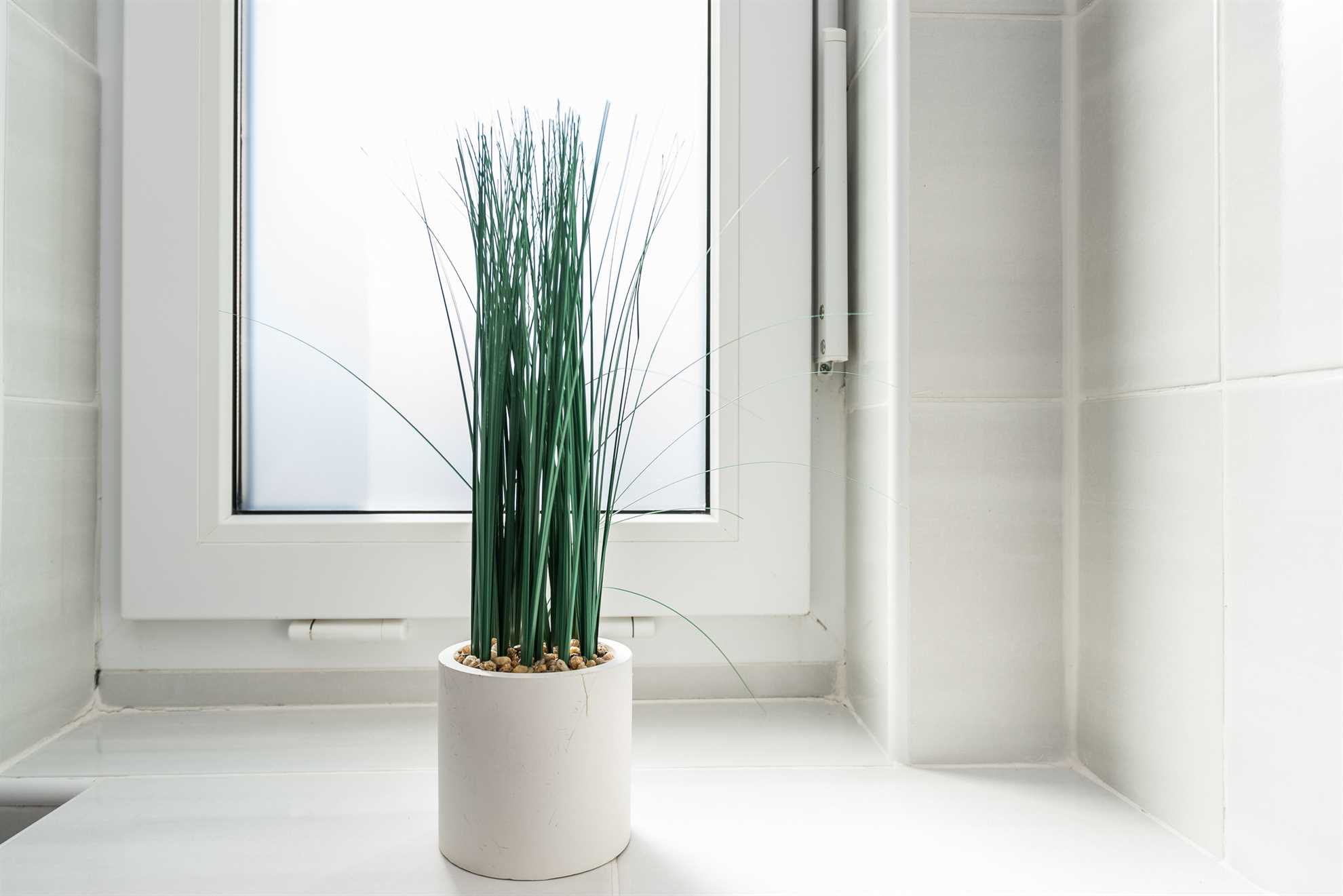 Obiteljska kuća za odmor s bazenom za 4-6 osoba | Fitness i Spa centar | Sportski tereni