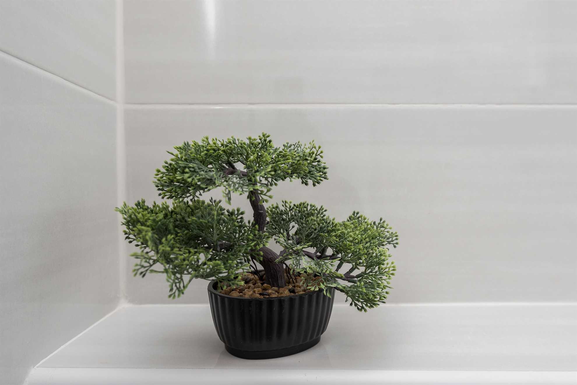 Obiteljska kuća za odmor s bazenom za 4-6 osoba | Fitness i Spa centar | Sportski tereni