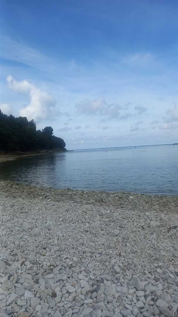 Enosobno stanovanje v bližini plaže s pogledom na morje