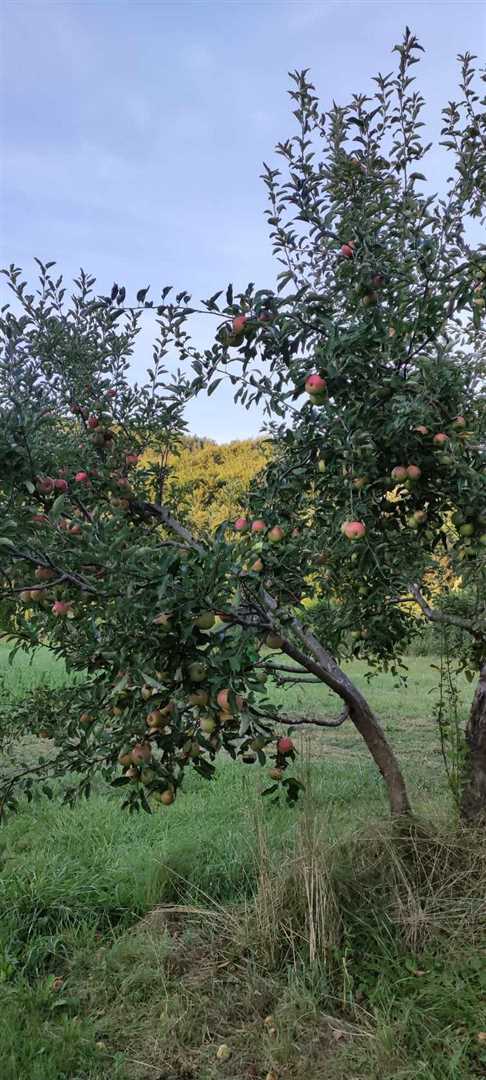 Dedkovo posestvo - za vse ljubitelje narave
