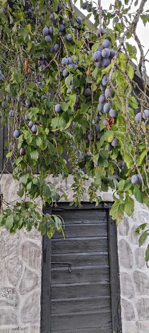 Dedkovo posestvo - za vse ljubitelje narave