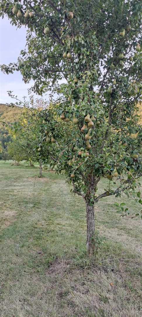 Dedkovo posestvo - za vse ljubitelje narave