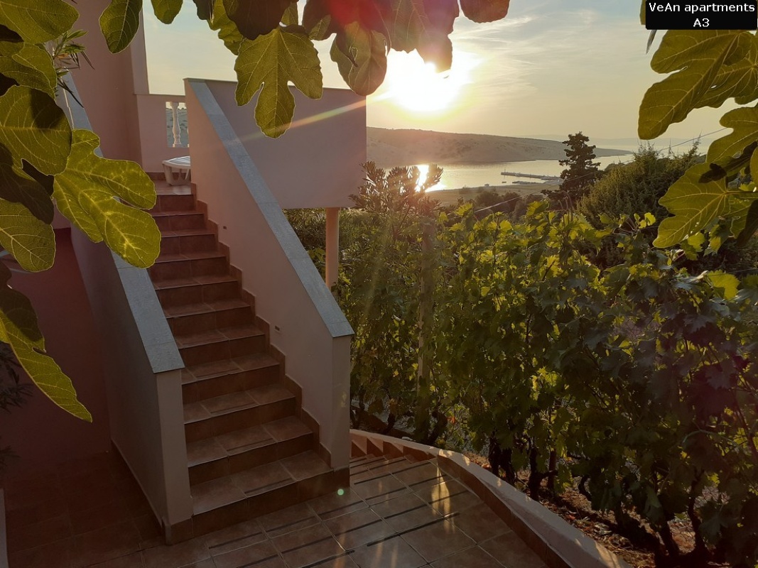 VeAn apartment A3 with a beautiful view up to 5 people: Rab-Lopar-parking