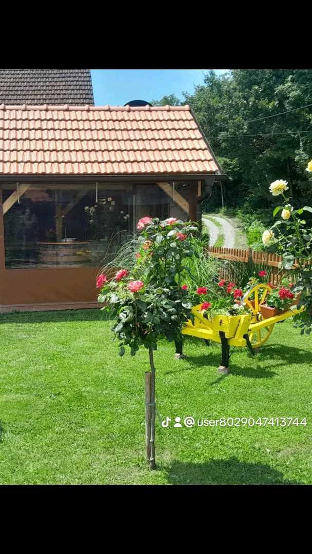 Počitniška hiša - Klet Šaban