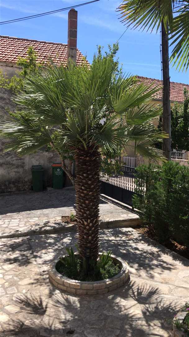 srima vodice
