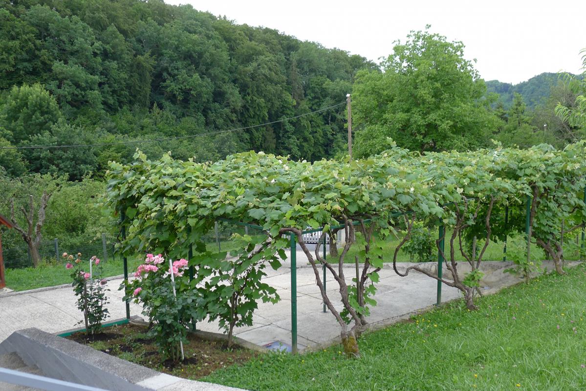 Vacation house Krapinske Toplice/Tuheljske Toplice