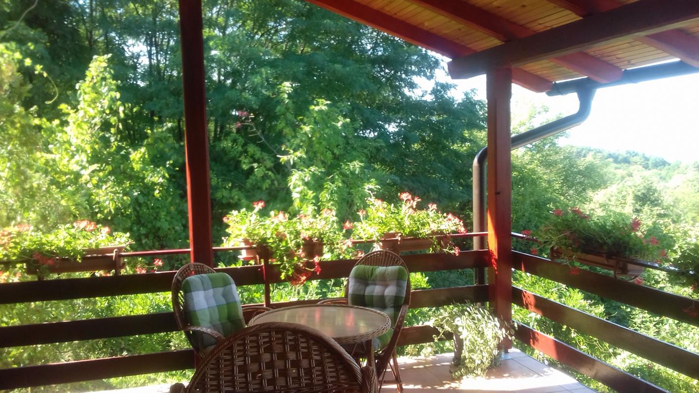 Kuca s bazenom, na osami - Petrinja