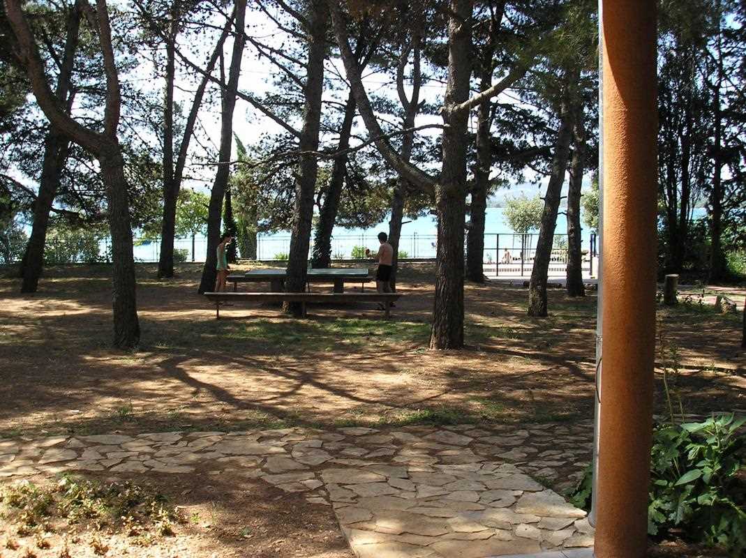 Sveti Filip i Jakov Apartman Borelli u šumi kraj mora