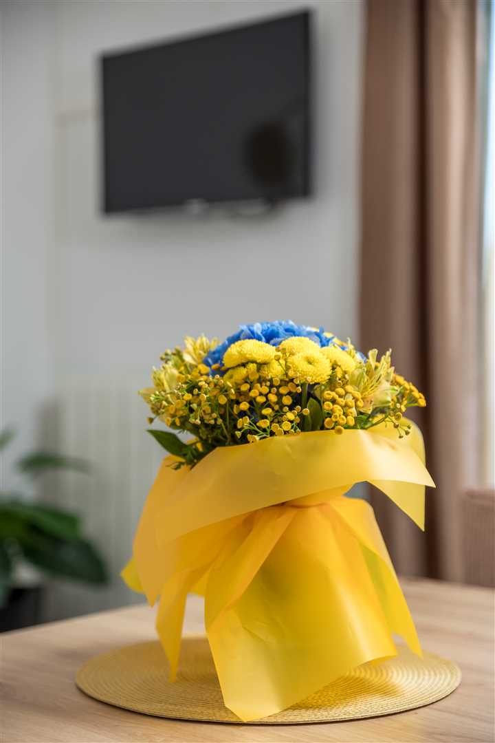 Apartmani Kovacic  2 Tia