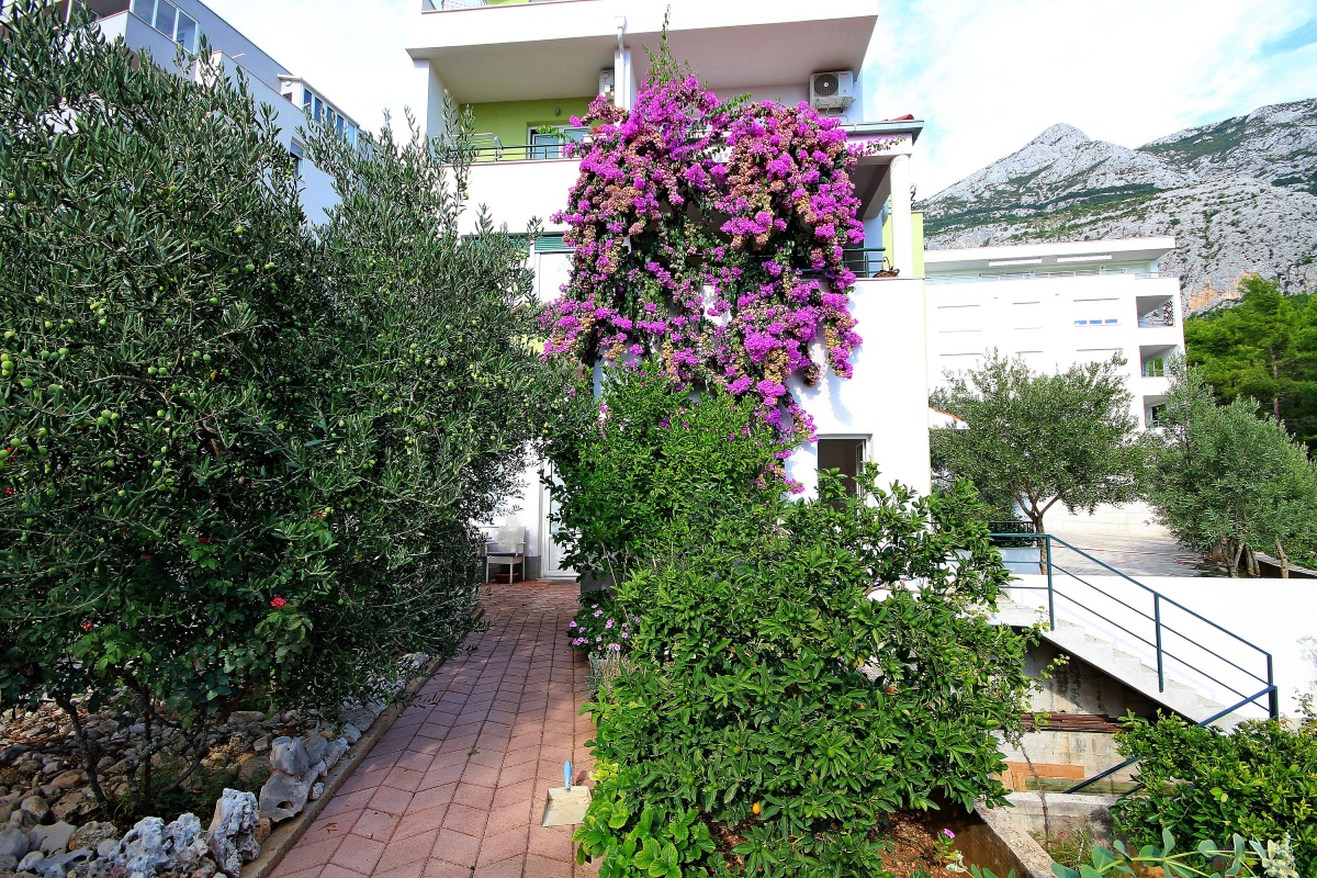 Studio apartma Marin