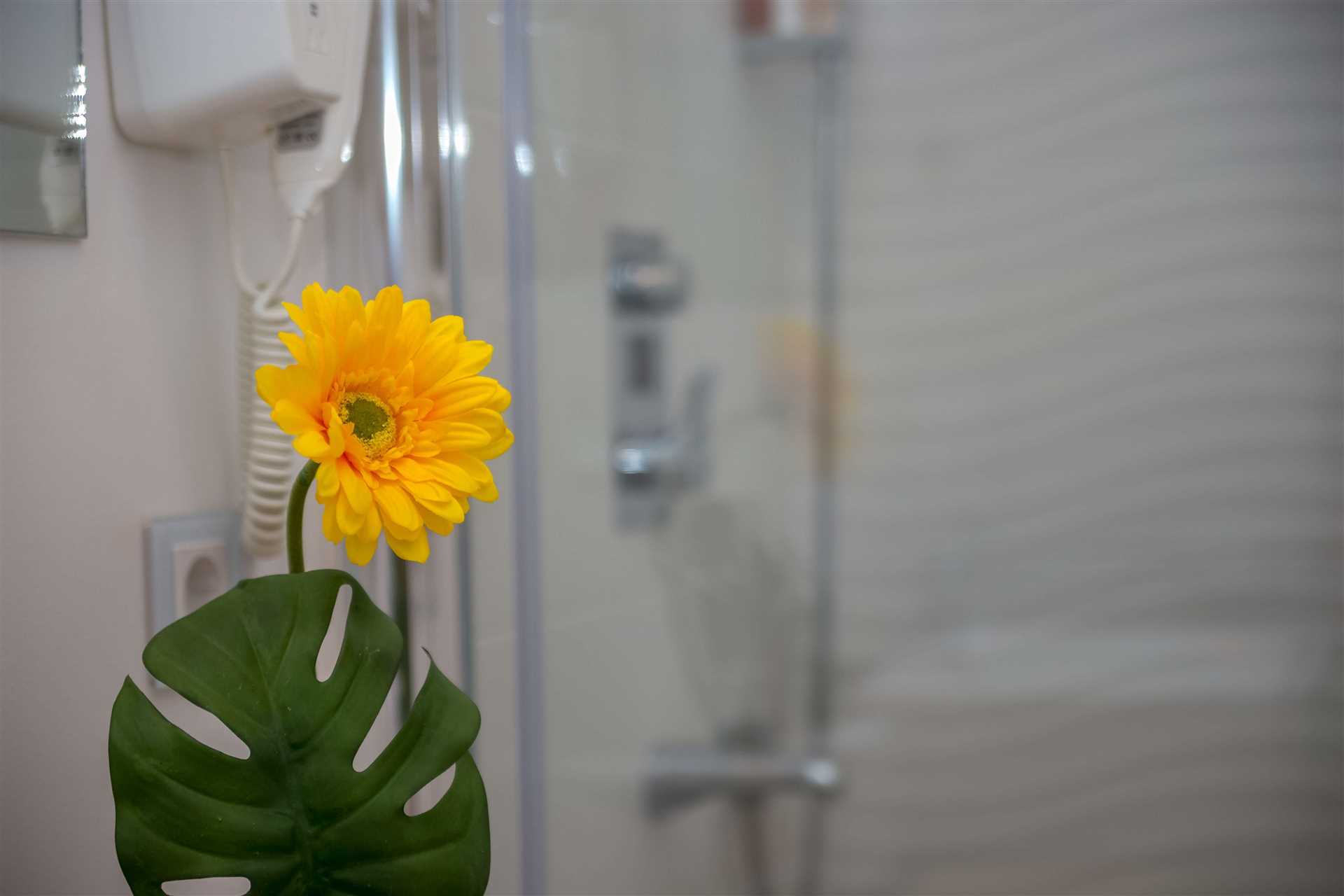 Daily rent Rijeka Apartment Terra I in the city center