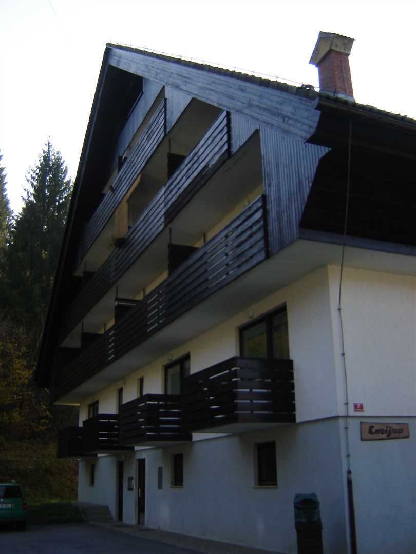 Apartment with a view of Vogel and the Bohinj Valley.