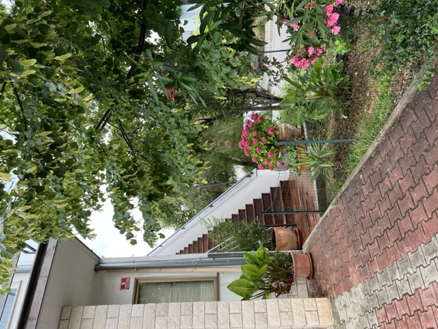 Apartma z 1-spalnico